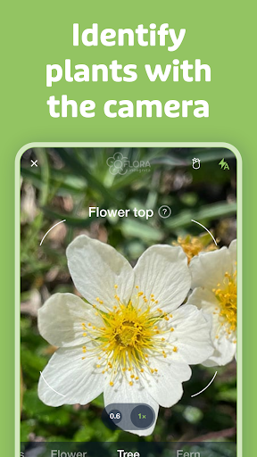 Screenshot Flora Incognita