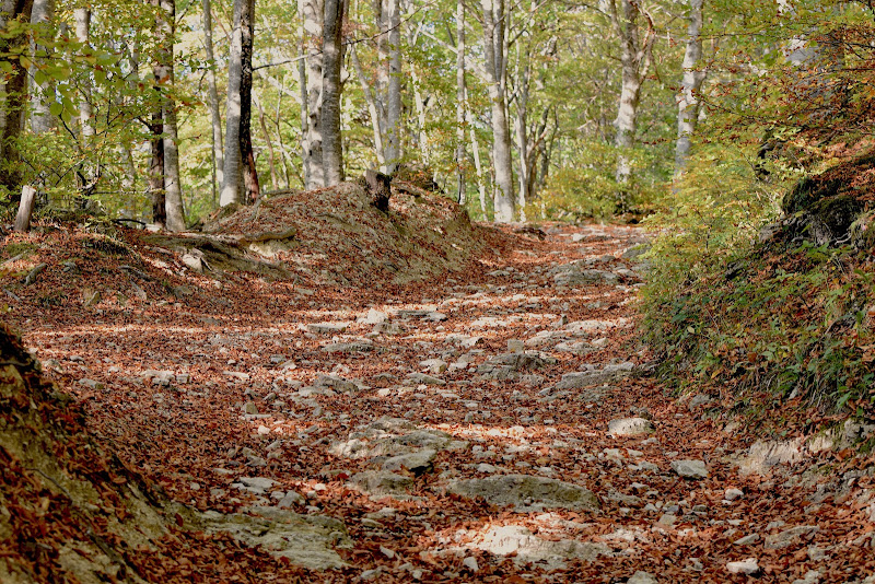 passeggiata autunnale di s_ornella