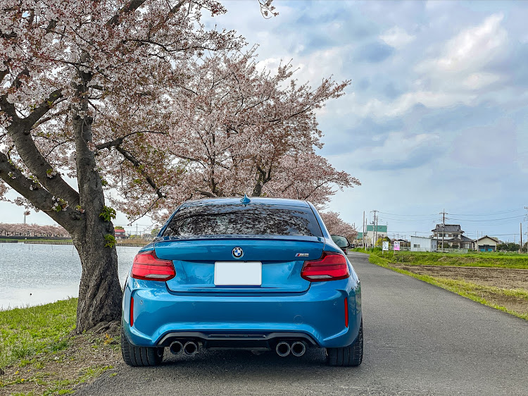 M2 クーペの桜とコラボ・桜と愛車に関するカスタム事例の投稿画像2枚目