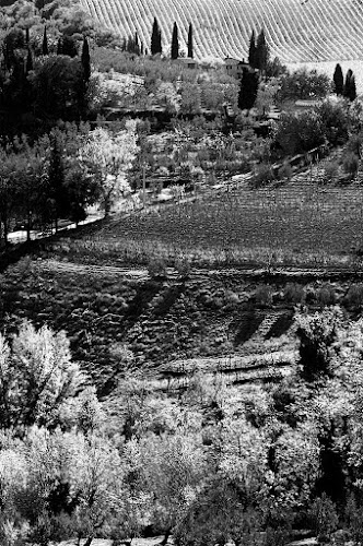 CAMPAGNA TOSCANA di kantois