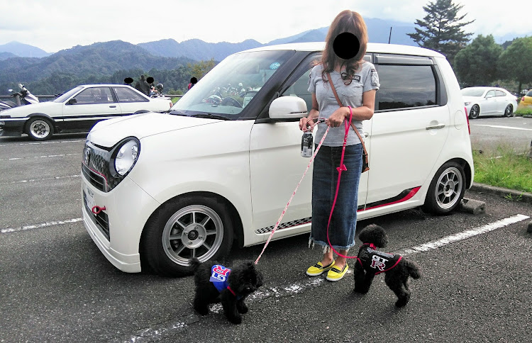 N-ONEのトイプードル・宮ヶ瀬ダムに関するカスタム事例の投稿画像2枚目