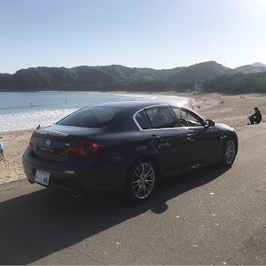 スカイライン V36