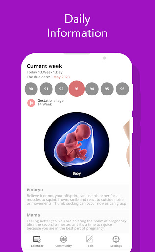 Screenshot Pregnancy Tracker and Baby