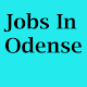 Download Jobs in Odense For PC Windows and Mac 1.0