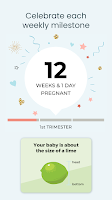 Pregnancy App & Baby Tracker Screenshot