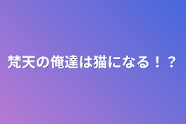 梵天の俺達は猫になる！？