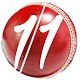 Download Fantasy Expert11 - Dream11 APL Team News Playing11 For PC Windows and Mac 1.0