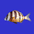 Marine Fish Guide icon