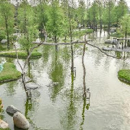 澄霖沉香味道森林館