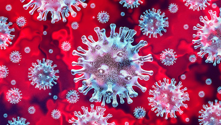 The different strains of the coronavirus family cause different symptoms. Two South Africans on board a cruise ship in Japan have tested positive for the virus.