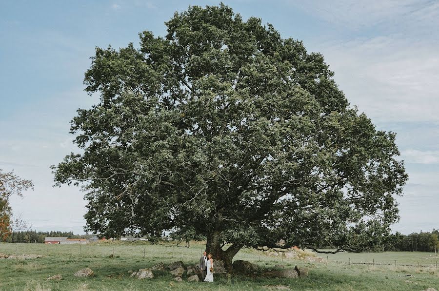 Wedding photographer Linn Andersson (linnsej). Photo of 30 March 2019