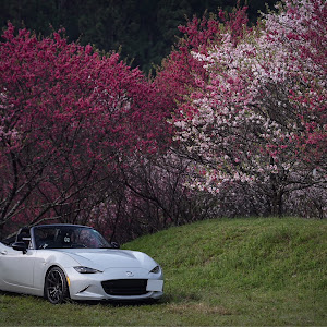 ロードスター ND5RC