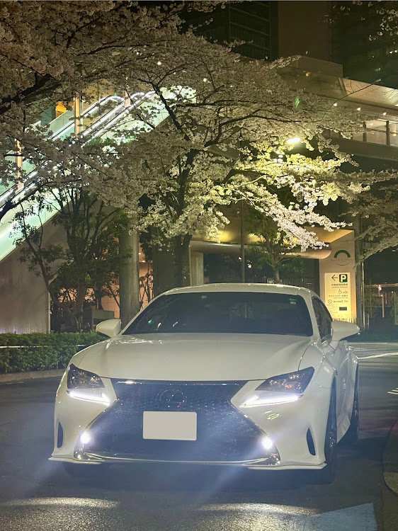 RCのサクラと愛車・携帯カメラで頑張る・大崎ゲートシティ・目黒川居木橋・桜とコラボに関するカスタム事例の投稿画像5枚目
