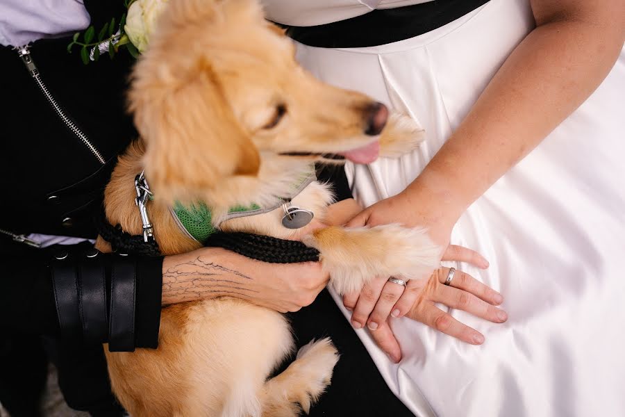 Wedding photographer Libor Dušek (duek). Photo of 27 September 2023