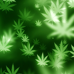 weeds live wallpaper Apk