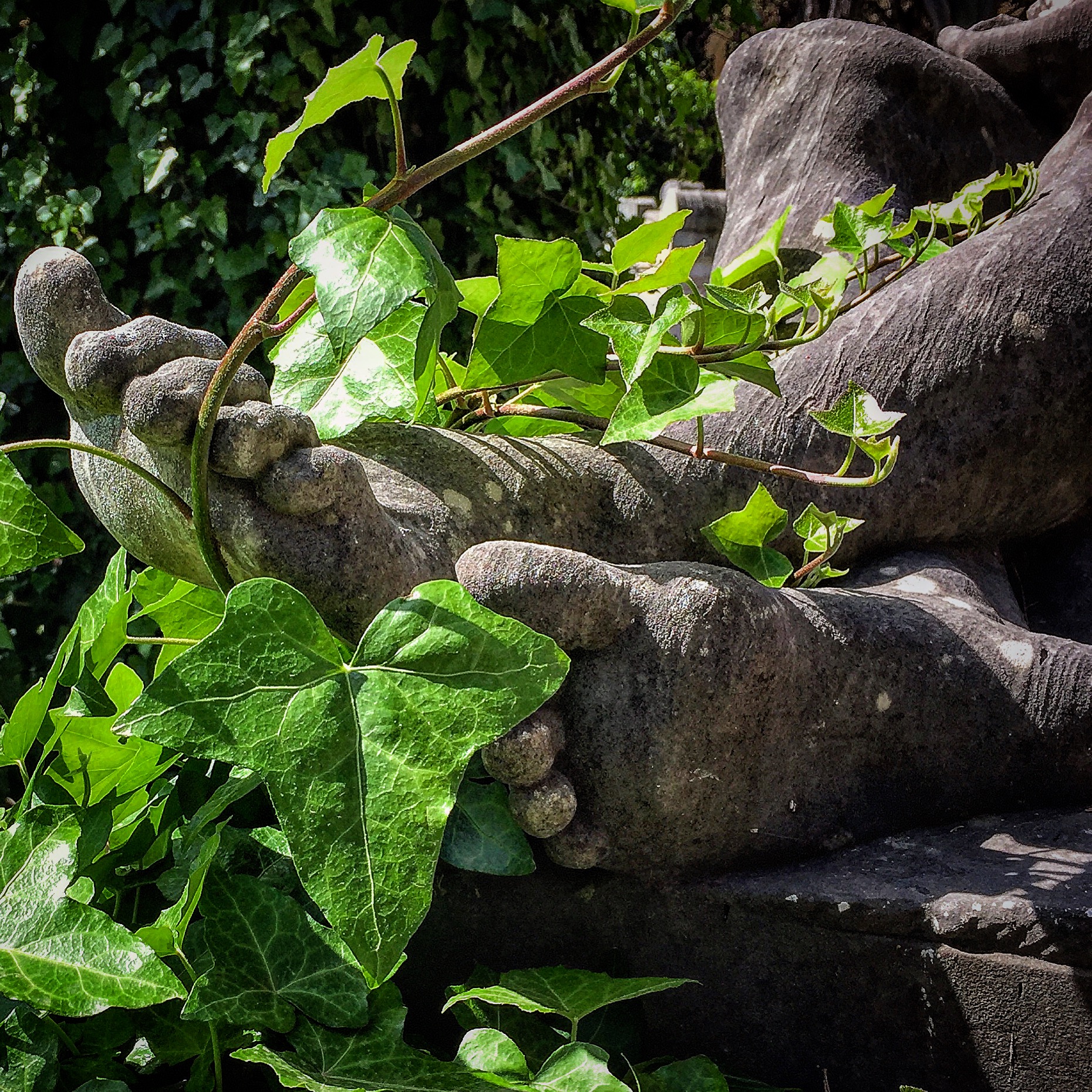 LA PRIMAVERA AVANZA di sitri__