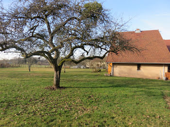 maison à Melisey (70)