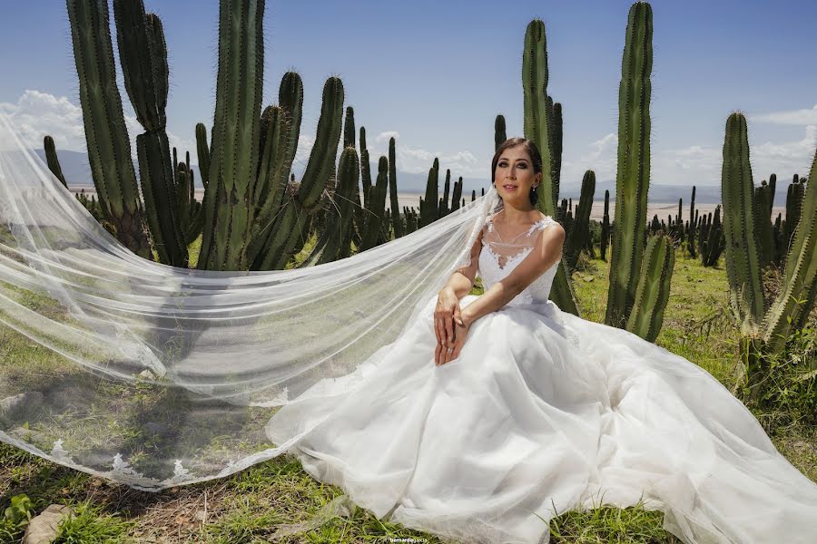 Fotógrafo de casamento Bernardo Garcia (bernardo). Foto de 13 de julho 2018