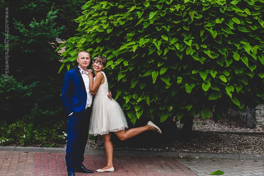 Fotógrafo de casamento Andrzej Paradowski (aparadowski). Foto de 24 de fevereiro 2020