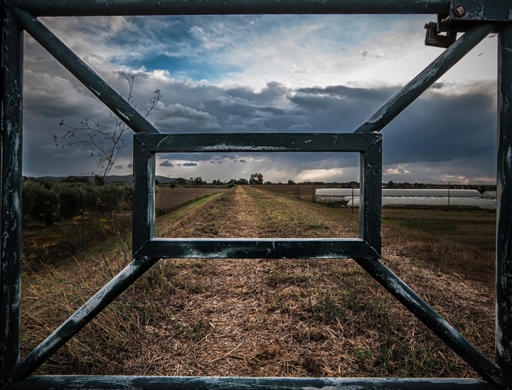 Through the window di Samuele Tronchi