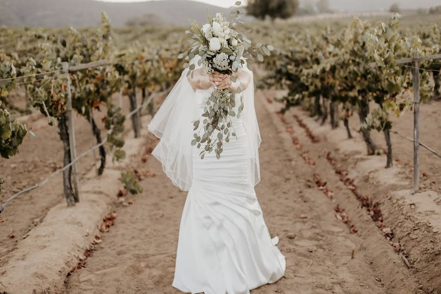 Wedding photographer Josue Zalmeron Valle De Guadalupe Photo (zalmeron). Photo of 31 January 2019