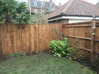 New fence and gate. album cover