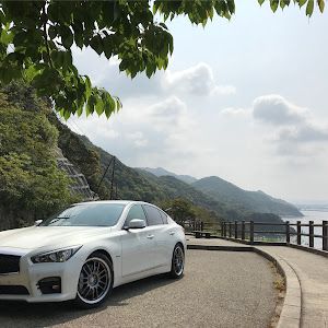 Q50