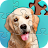 Jigsaw Puzzles icon