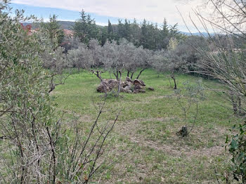 terrain à Flayosc (83)