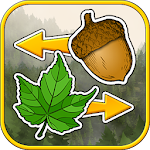 Sort the Forest Apk