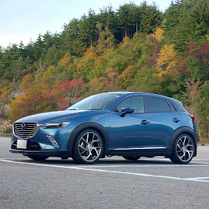 CX-3 DK5FW