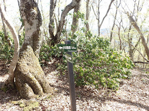 小川集落分岐（直進する）