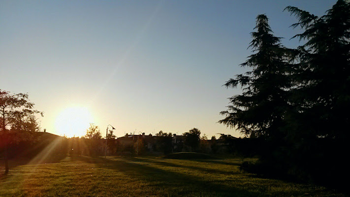 Raggi d'autunno  di SilviaFrances