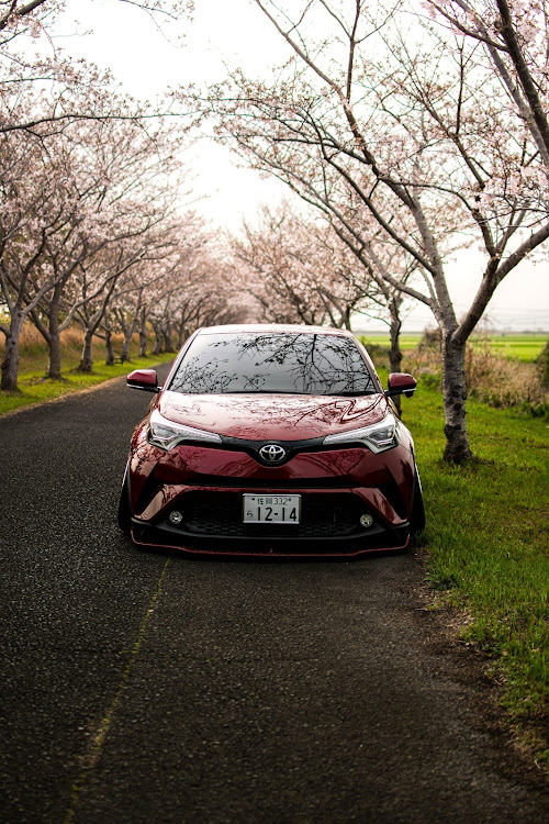 C-HRの桜とコラボ・サクラと愛車・桜・目指せPickUpCarsに関するカスタム事例の投稿画像1枚目