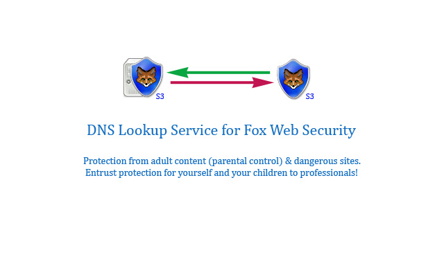 Fox Web Security (DNS Lookup Service) chrome extension