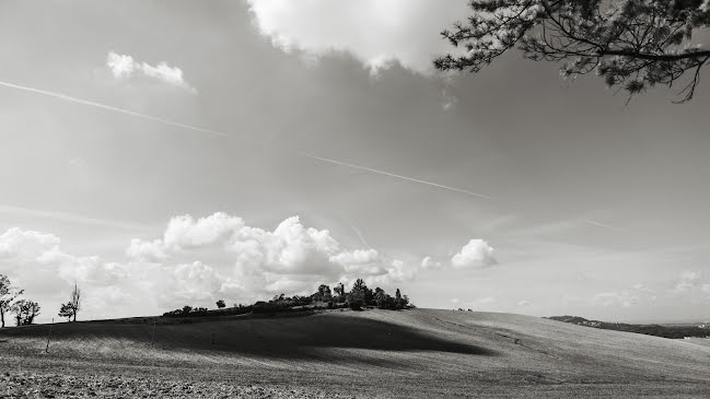 Fotógrafo de casamento Alessandro Fiorini (alexfiorini). Foto de 19 de março