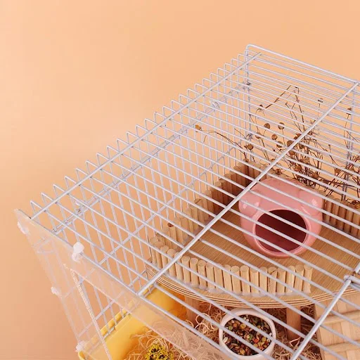 images slider number - 5