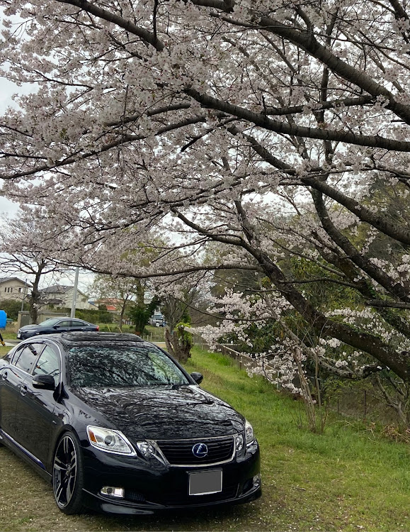 GSの世田谷ベース的生活・DIYおじさん・サクラと愛車・桜シーズン開幕・黄砂まみれに関するカスタム事例の投稿画像14枚目