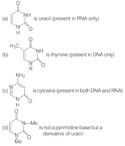 Solution Image