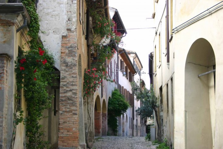 Rose rampicanti di lauracase