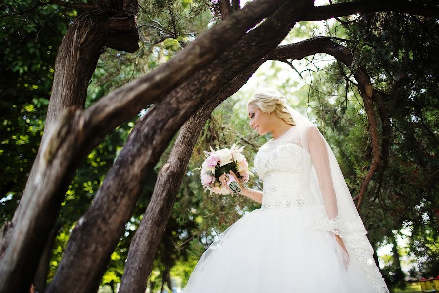 Wedding photographer Vladimir Shkal (shkal). Photo of 4 August 2016