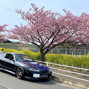 シルビア S15