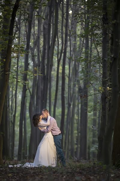 Fotografer pernikahan Ákos Erdélyi (erdelyi). Foto tanggal 14 Oktober 2014