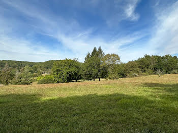 terrain à Saint-Jean-de-Côle (24)