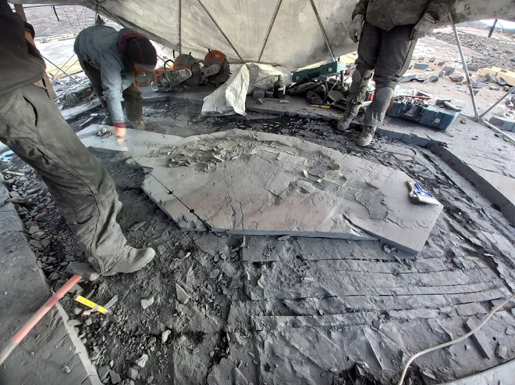 Paleontologists of the GAIA Antarctic Research Center of the University of Magallanes recover the first fossil of a four-meter Ichthyosaur at Tyndall Glacier area in the Chilean Patagonia, Magallanes, Chile April 2, 2022.