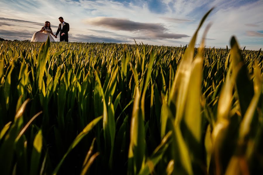 Photographe de mariage Verity Sansom (veritysansompho). Photo du 25 juin 2015