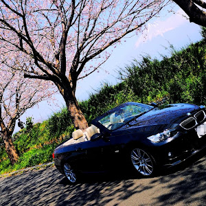 335i Cabriolet