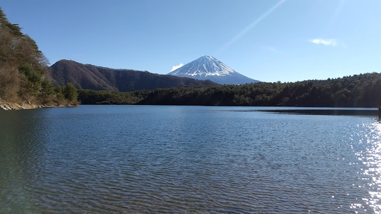 の投稿画像2枚目