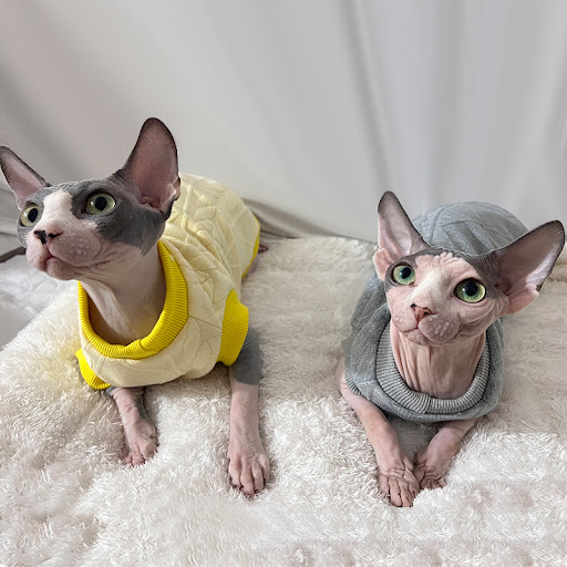 Title 2, Fashion Personality New Hairless Cat Clothes, S...