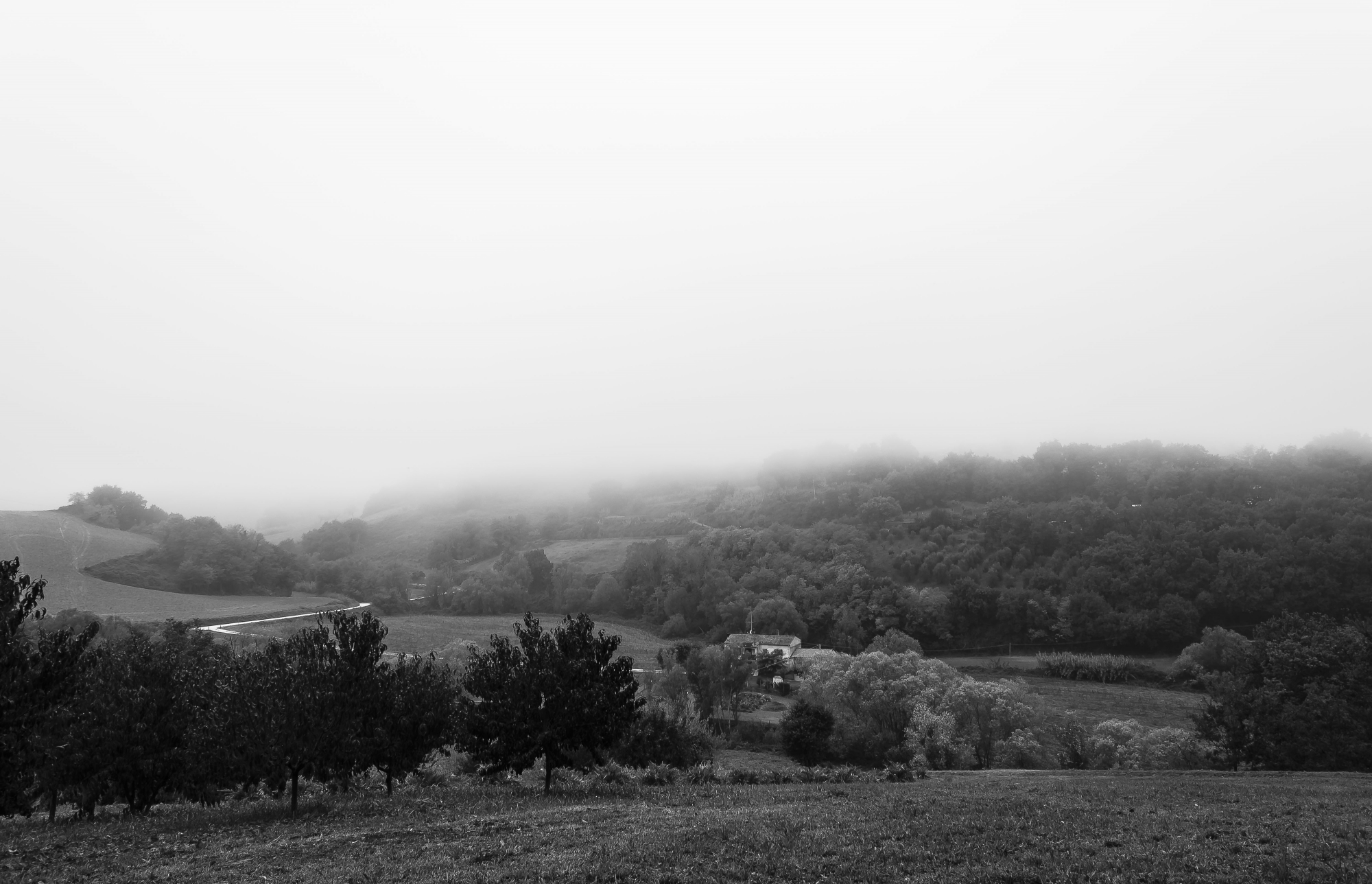 Il lento adagiarsi della Nebbia di niccolo.pucci